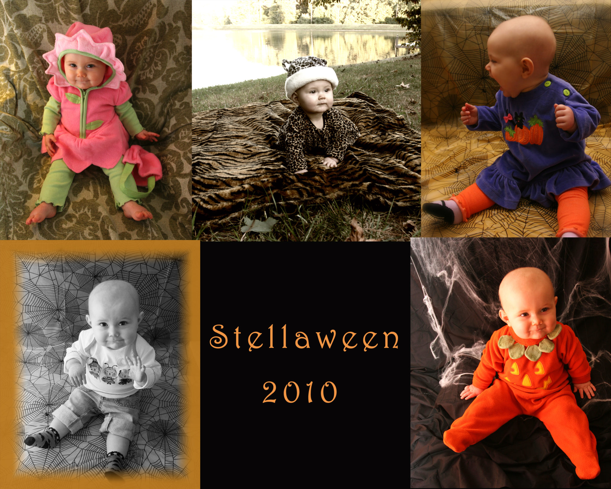 week-2-stellaween-2010